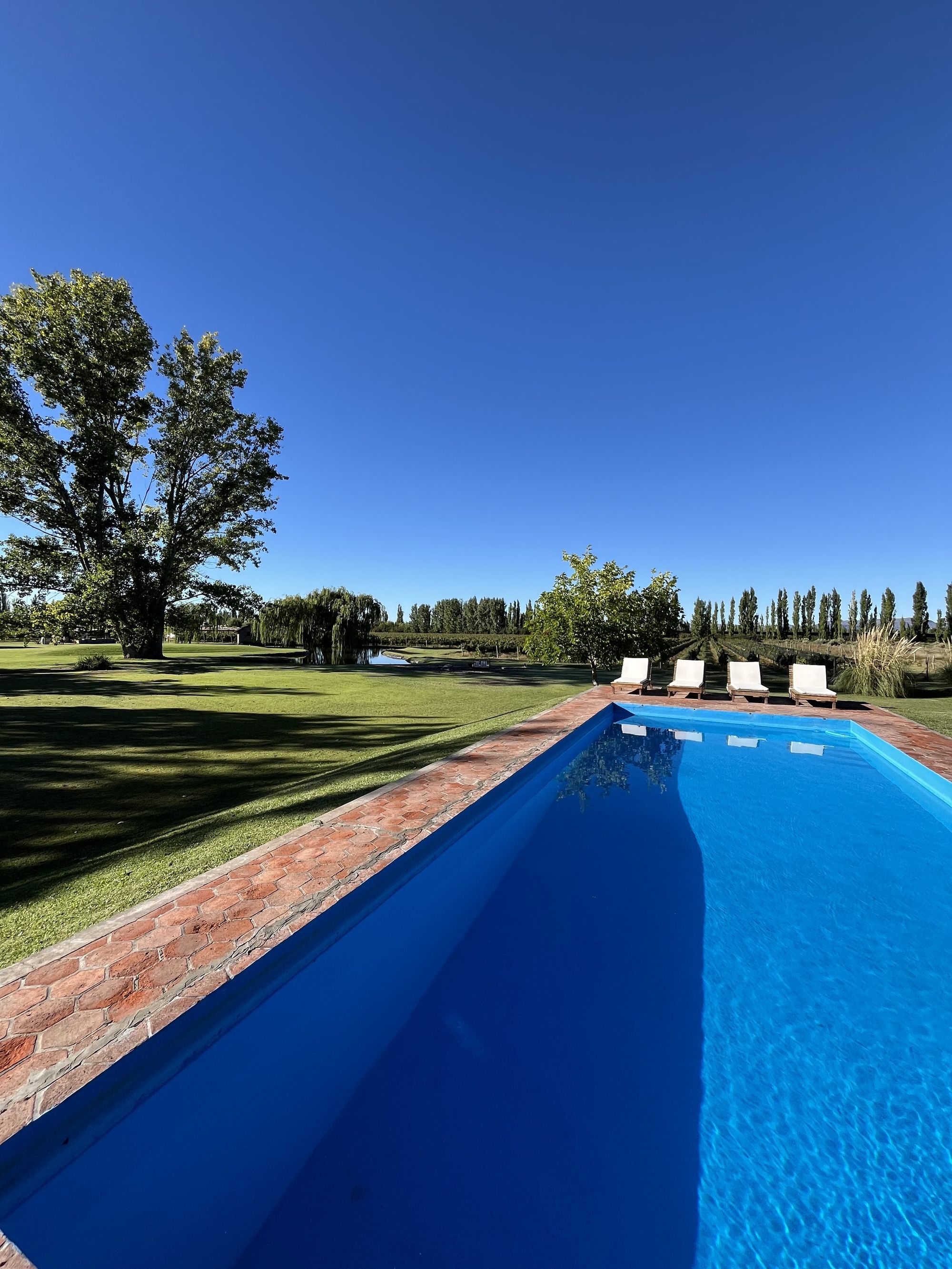 Finca El Maitén