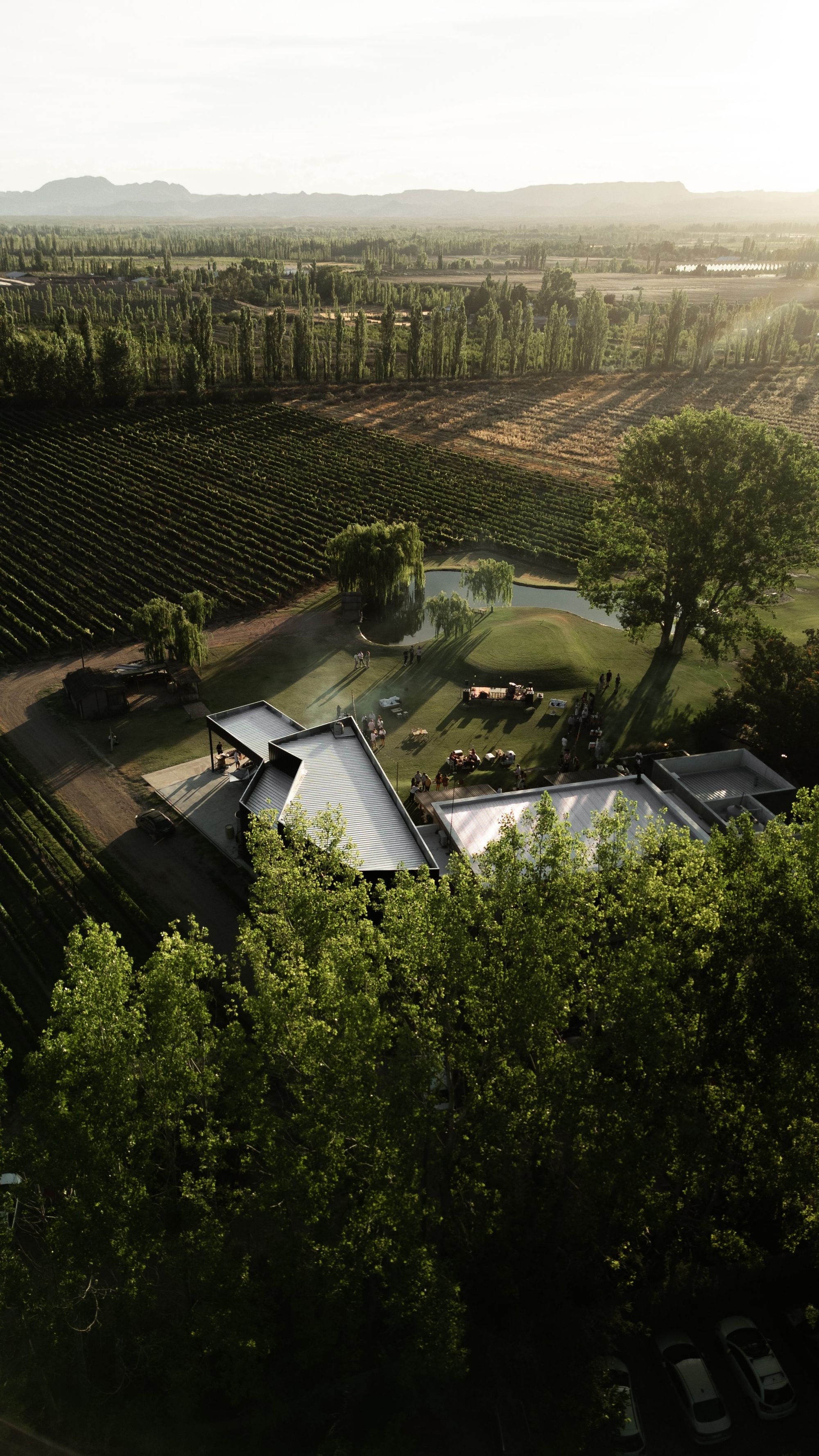 Finca El Maitén